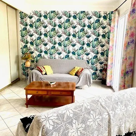 Apartment Spacieux F2 Ensoleille De 62m², Climatise, Balcon, Parking, Proche Cures Et Centre, Animaux Acceptes - Fr-1-703-121