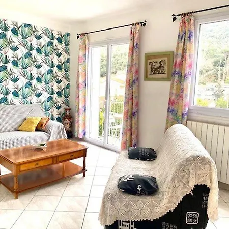 Spacieux F2 Ensoleille De 62m², Climatise, Balcon, Parking, Proche Cures Et Centre, Animaux Acceptes - Fr-1-703-121 Apartment Amelie-les-Bains-Palalda