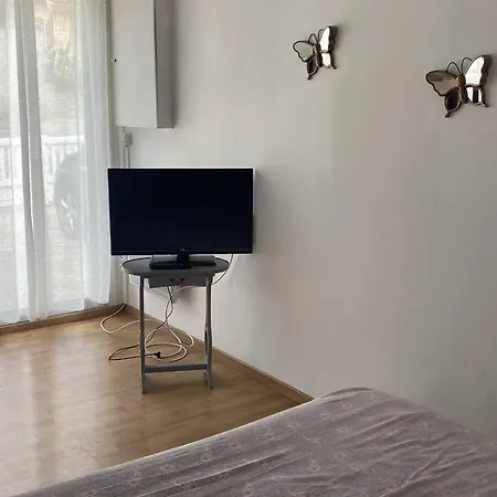 Spacieux F2 Ensoleille De 62m², Climatise, Balcon, Parking, Proche Cures Et Centre, Animaux Acceptes - Fr-1-703-121 Apartment