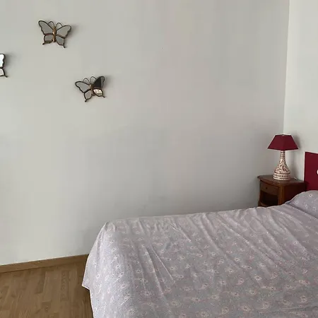 Spacieux F2 Ensoleille De 62m², Climatise, Balcon, Parking, Proche Cures Et Centre, Animaux Acceptes - Fr-1-703-121 Apartment Amelie-les-Bains-Palalda